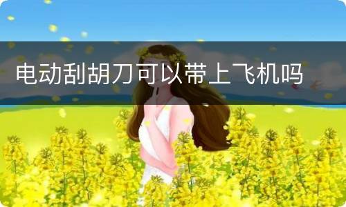 电动刮胡刀可以带上飞机吗