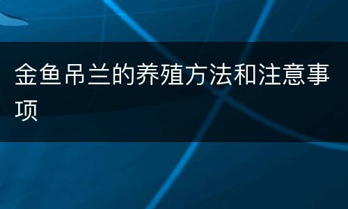 金鱼吊兰的养殖方法和注意事项