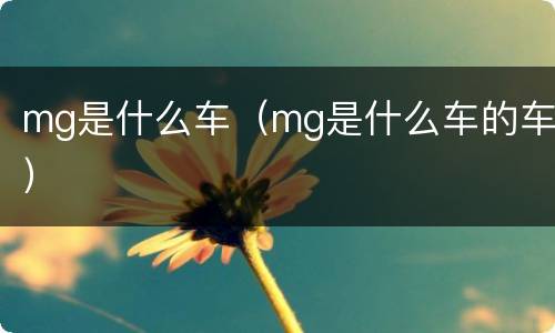 mg是什么车（mg是什么车的车）