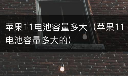 苹果11电池容量多大（苹果11电池容量多大的）