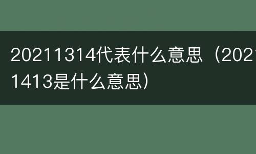 20211314代表什么意思（20211413是什么意思）