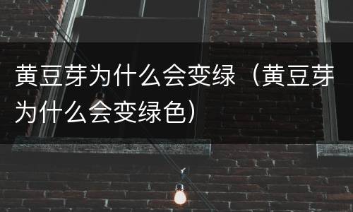 黄豆芽为什么会变绿（黄豆芽为什么会变绿色）