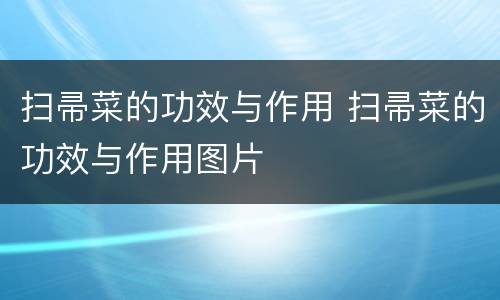 扫帚菜的功效与作用 扫帚菜的功效与作用图片
