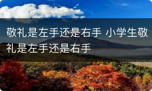 敬礼是左手还是右手 小学生敬礼是左手还是右手