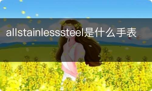 allstainlesssteel是什么手表