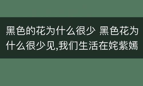 黑色的花为什么很少 黑色花为什么很少见,我们生活在姹紫嫣红