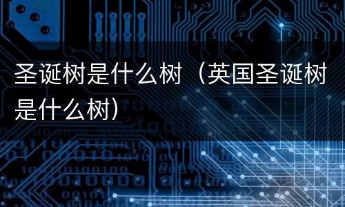 圣诞树是什么树（英国圣诞树是什么树）