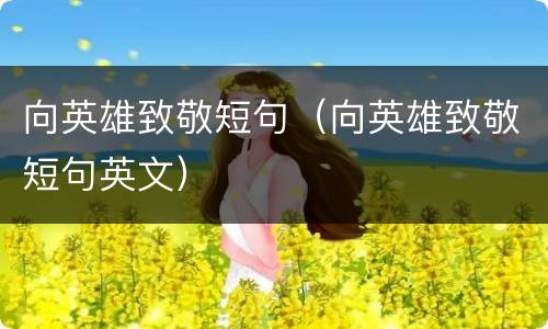 向英雄致敬短句（向英雄致敬短句英文）