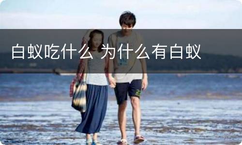 白蚁吃什么 为什么有白蚁