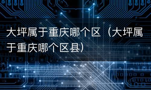 大坪属于重庆哪个区（大坪属于重庆哪个区县）