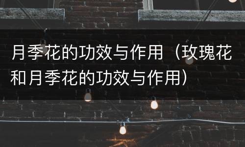 月季花的功效与作用（玫瑰花和月季花的功效与作用）