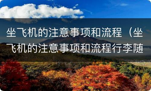 坐飞机的注意事项和流程（坐飞机的注意事项和流程行李随身携带吗）