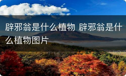 辟邪翁是什么植物 辟邪翁是什么植物图片