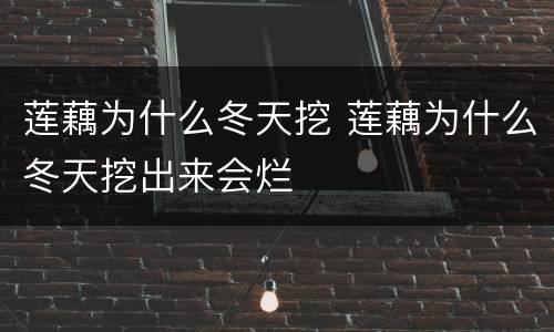 莲藕为什么冬天挖 莲藕为什么冬天挖出来会烂