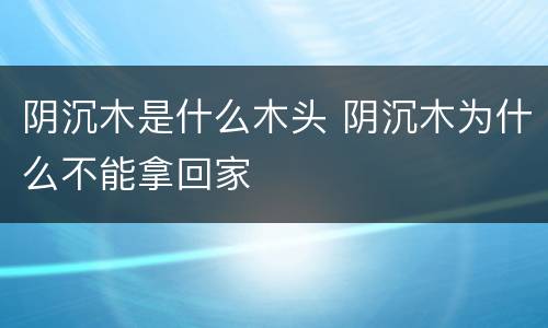 阴沉木是什么木头 阴沉木为什么不能拿回家
