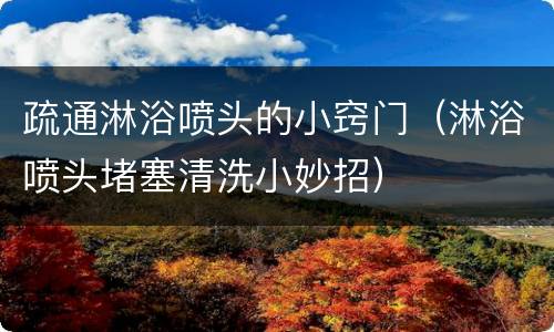 疏通淋浴喷头的小窍门（淋浴喷头堵塞清洗小妙招）