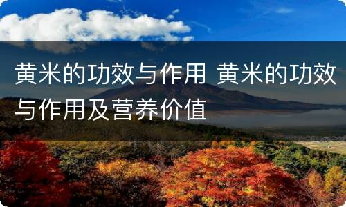 黄米的功效与作用 黄米的功效与作用及营养价值