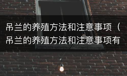 吊兰的养殖方法和注意事项（吊兰的养殖方法和注意事项有哪些）