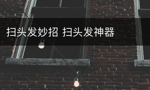 扫头发妙招 扫头发神器