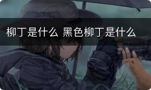 柳丁是什么 黑色柳丁是什么