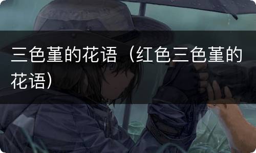 三色堇的花语（红色三色堇的花语）