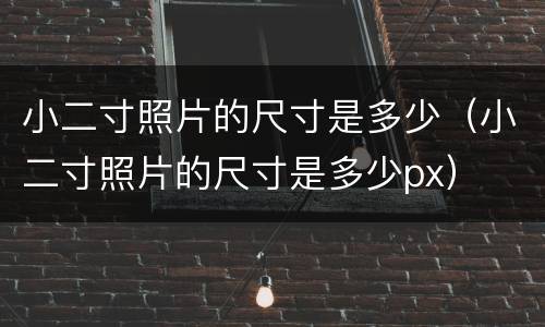 小二寸照片的尺寸是多少（小二寸照片的尺寸是多少px）