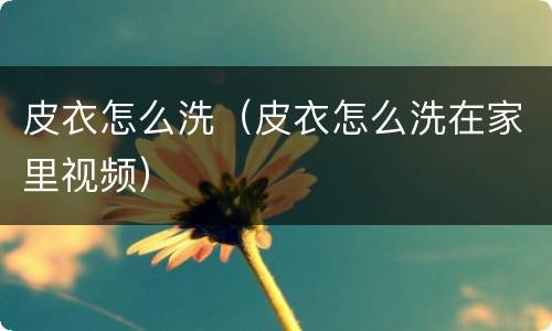 皮衣怎么洗（皮衣怎么洗在家里视频）