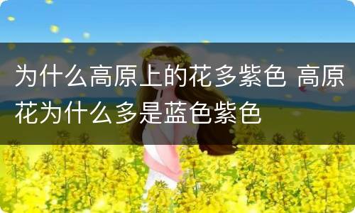 为什么高原上的花多紫色 高原花为什么多是蓝色紫色