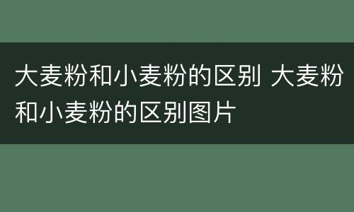 大麦粉和小麦粉的区别 大麦粉和小麦粉的区别图片