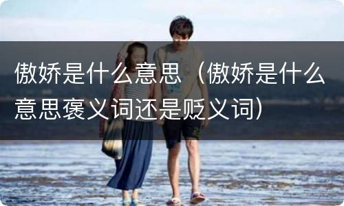 傲娇是什么意思（傲娇是什么意思褒义词还是贬义词）