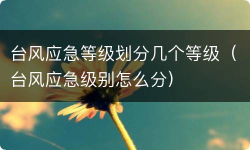 台风应急等级划分几个等级（台风应急级别怎么分）