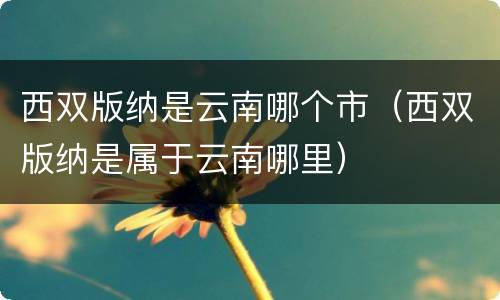 西双版纳是云南哪个市（西双版纳是属于云南哪里）