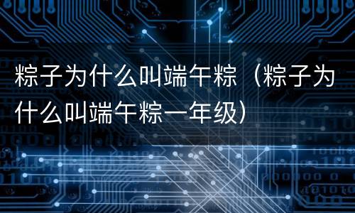 粽子为什么叫端午粽（粽子为什么叫端午粽一年级）