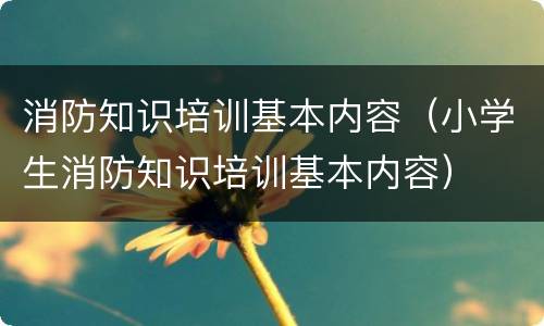 消防知识培训基本内容（小学生消防知识培训基本内容）