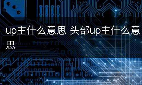 up主什么意思 头部up主什么意思