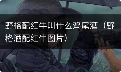 野格配红牛叫什么鸡尾酒（野格酒配红牛图片）
