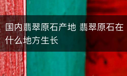 国内翡翠原石产地 翡翠原石在什么地方生长
