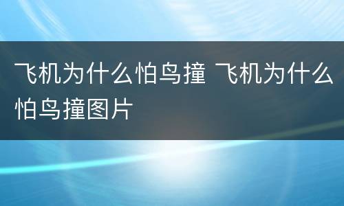 飞机为什么怕鸟撞 飞机为什么怕鸟撞图片