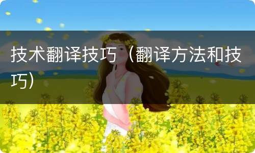 技术翻译技巧（翻译方法和技巧）