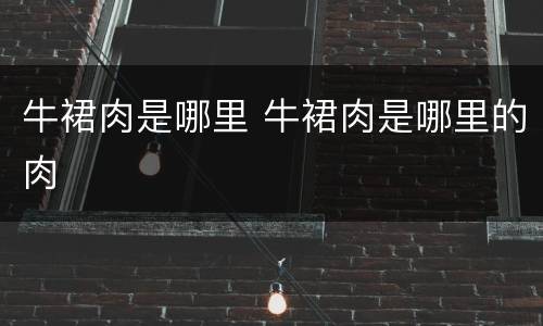 牛裙肉是哪里 牛裙肉是哪里的肉