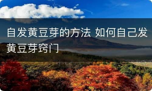 自发黄豆芽的方法 如何自己发黄豆芽窍门
