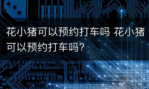 花小猪可以预约打车吗 花小猪可以预约打车吗?