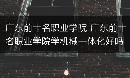 广东前十名职业学院 广东前十名职业学院学机械一体化好吗