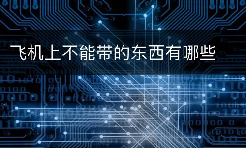 飞机上不能带的东西有哪些