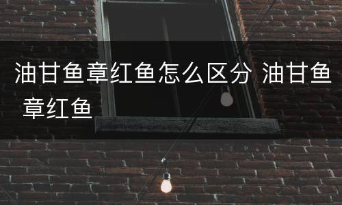 油甘鱼章红鱼怎么区分 油甘鱼 章红鱼