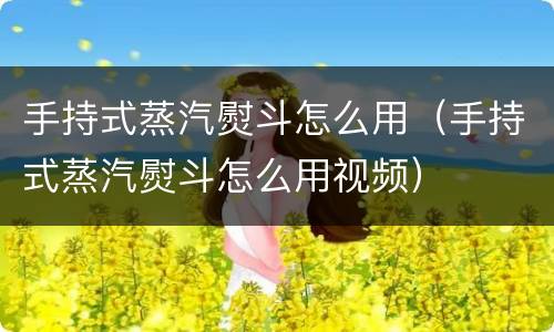 手持式蒸汽熨斗怎么用（手持式蒸汽熨斗怎么用视频）