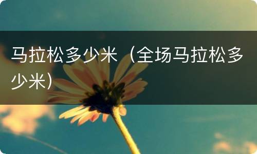 马拉松多少米（全场马拉松多少米）