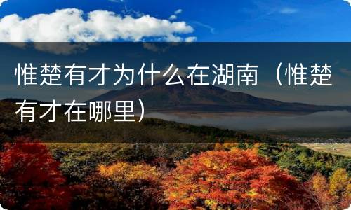惟楚有才为什么在湖南（惟楚有才在哪里）