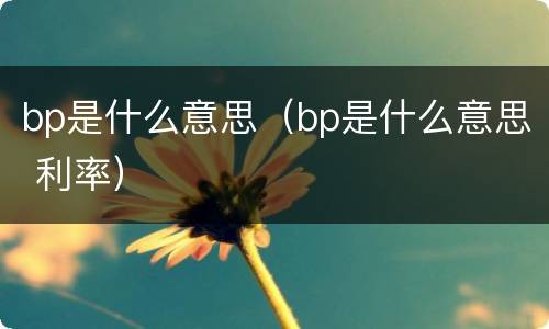 bp是什么意思（bp是什么意思 利率）
