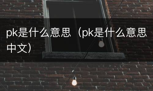 pk是什么意思（pk是什么意思中文）
